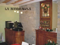 mandragola