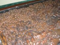 tavolo intagliato in mogano safari 